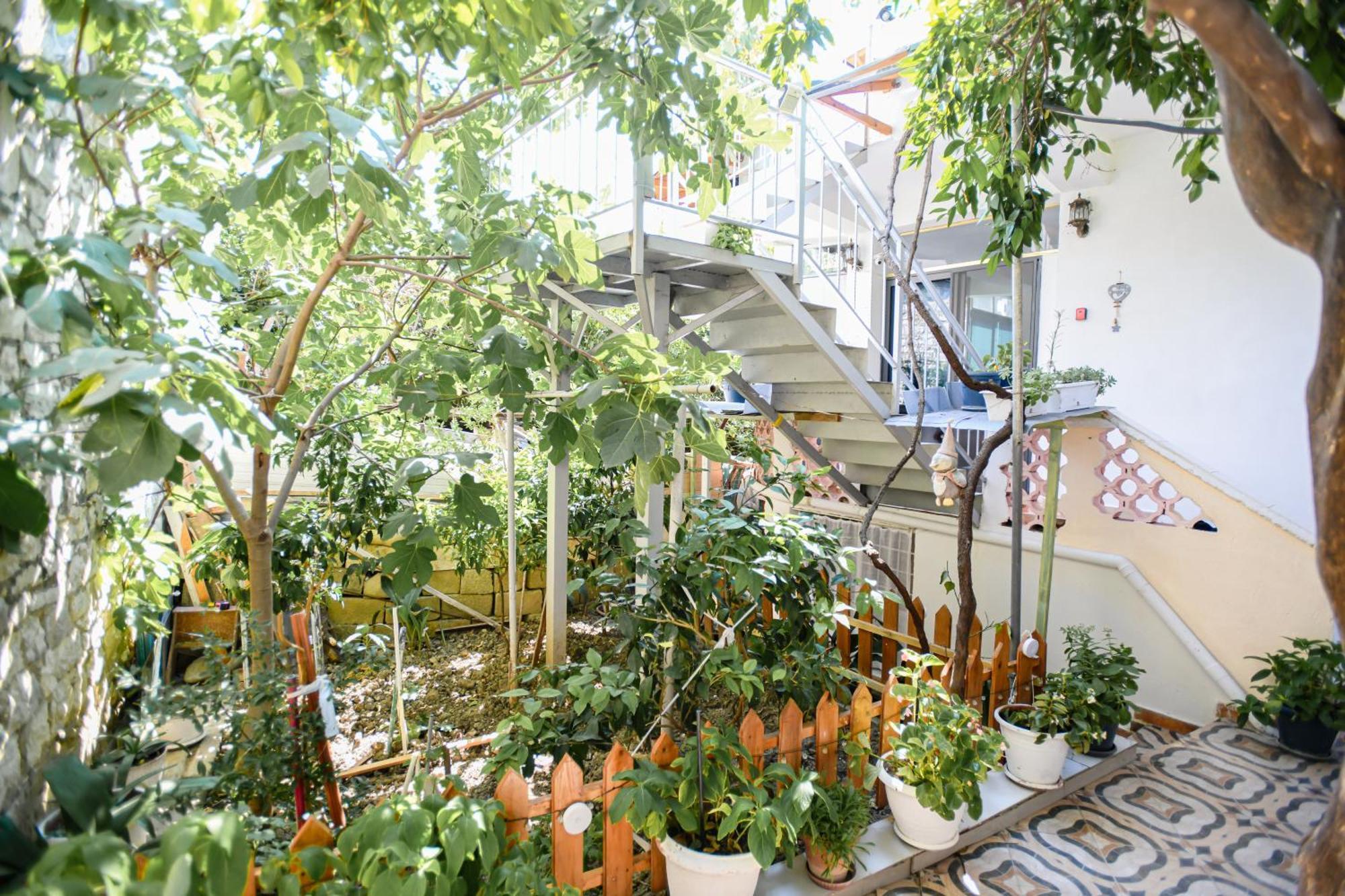 Guest House Flowers Берат Екстер'єр фото